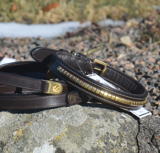 Premium dog collar in natural tanned leather and classic clincher